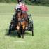 MTCC Carriage Driving Clinic